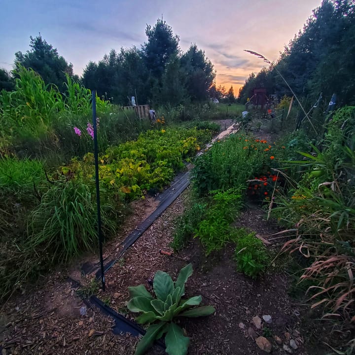 Permaculture: Sustainable Living